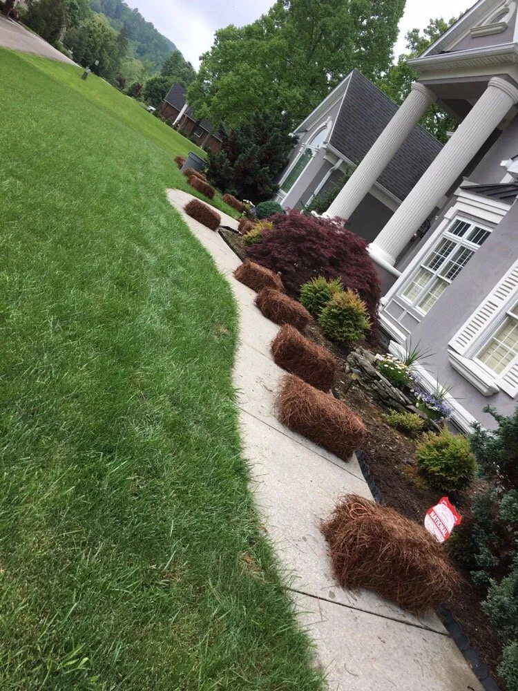 Local landscape design near you in Hurricane, WV by Green earth landscapes
