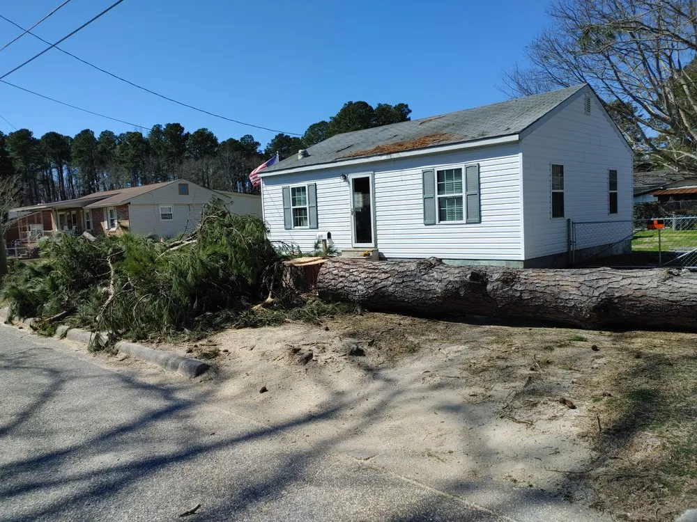 Top-rated yard cleanup service for year-round maintenance in Hope Mills, NC by Green Earth Landscaping & Tree Service