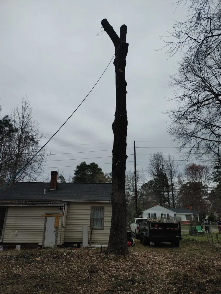 Professional yard maintenance for residential properties across Hope Mills, NC - Green Earth Landscaping & Tree Service