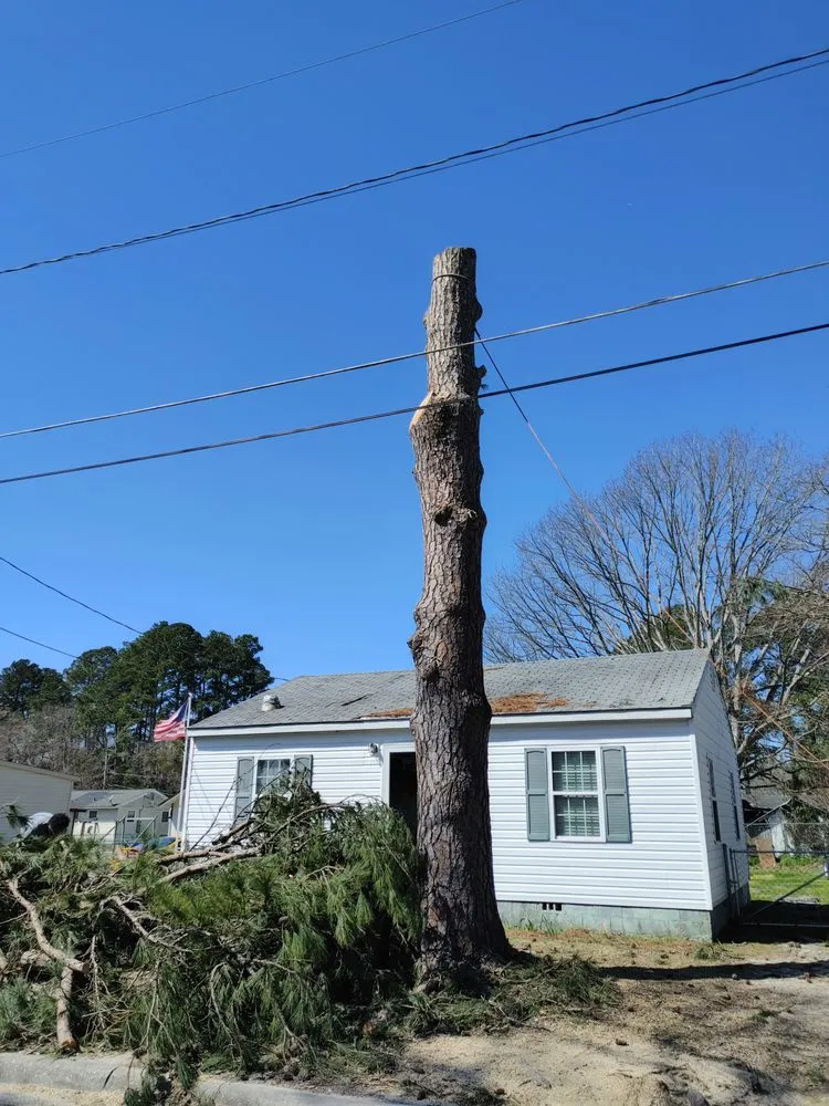 Professional landscaping services with custom design across Hope Mills, NC - Green Earth Landscaping & Tree Service