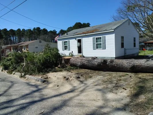 Green Earth Landscaping & Tree Service Logo