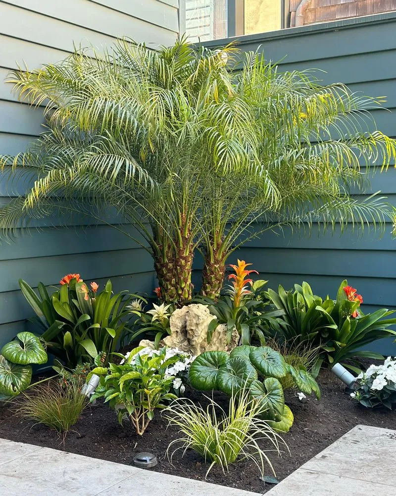 Custom lawn care service for residential properties in Castroville, CA by Green Earth Landscaping