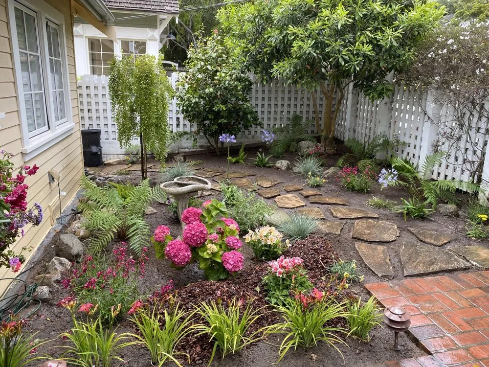 Top-rated yard maintenance for year-round maintenance across Castroville, CA - Green Earth Landscaping