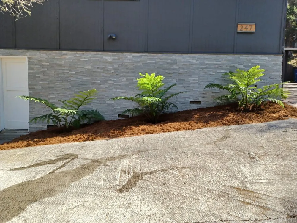 Top-rated landscape installation in Castroville, CA by Green Earth Landscaping