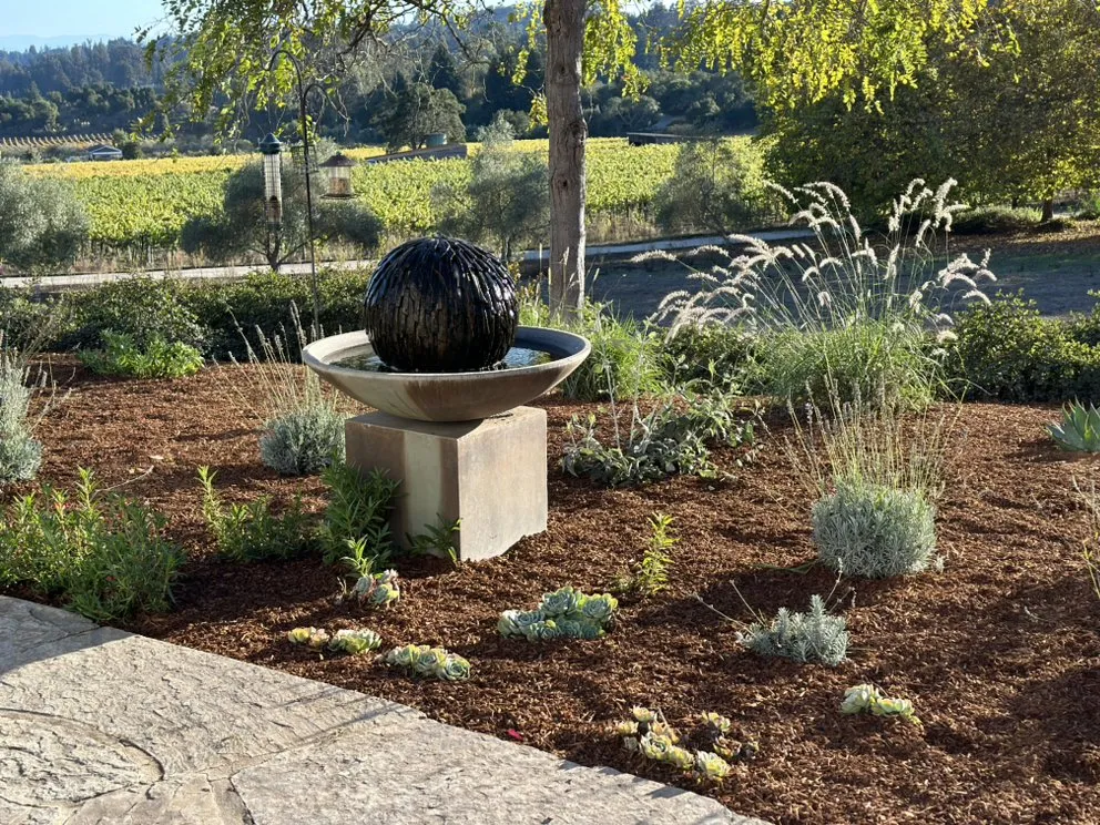 Reliable lawn mowing service in Castroville, CA by Green Earth Landscaping