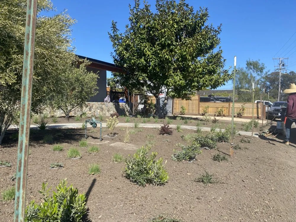 Local landscape design in Castroville, CA - Green Earth Landscaping