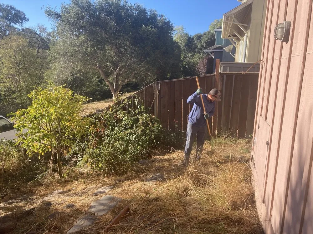 Local outdoor landscaping in Castroville, CA - Green Earth Landscaping