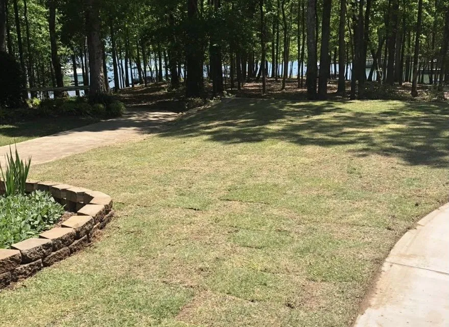 Custom landscaping services experts serving Lavonia, GA - Green Earth Landscaping