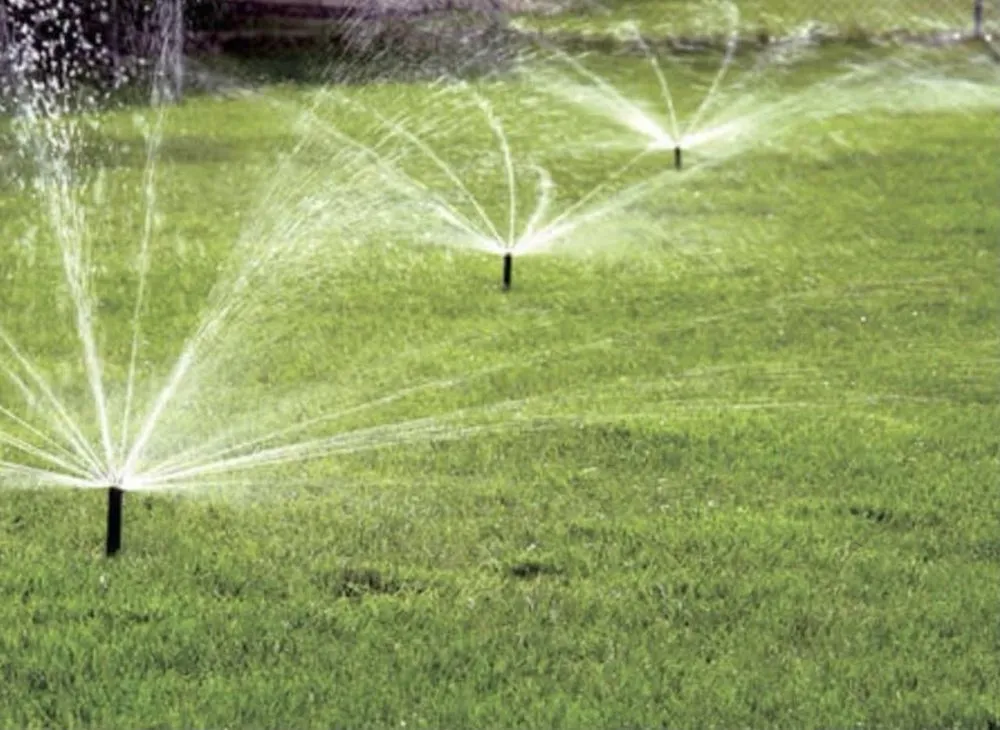 Local lawn care service in Lavonia, GA - Green Earth Landscaping