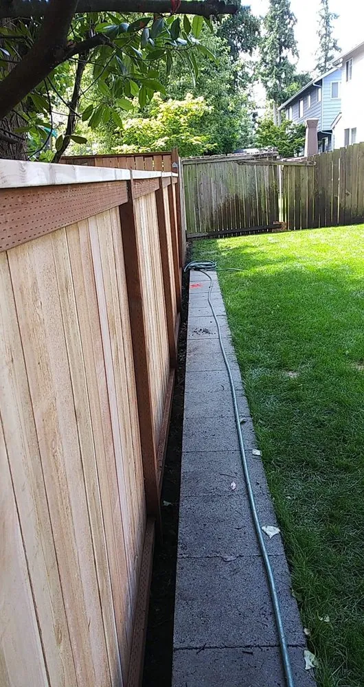 Expert yard maintenance experts serving Seattle, WA - Green Earth Landscaping Service