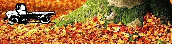 Reliable lawn mowing service experts serving Springdale, AR - Green Earth Lawn and Landscaping