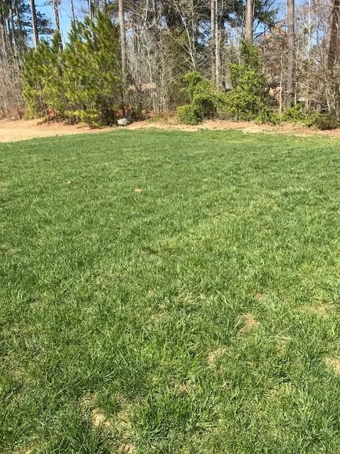 Professional landscaping services with custom design in Durham, NC by Green Earth Lawn Care