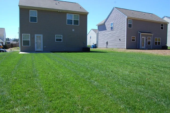 Expert yard cleanup service for year-round maintenance in Durham, NC by Green Earth Lawn Care