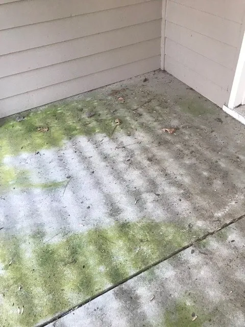 Reliable landscaping services in Durham, NC by Green Earth Lawn Care