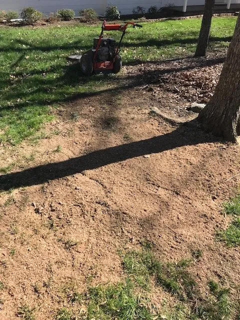 Trusted landscape installation in Durham, NC by Green Earth Lawn Care