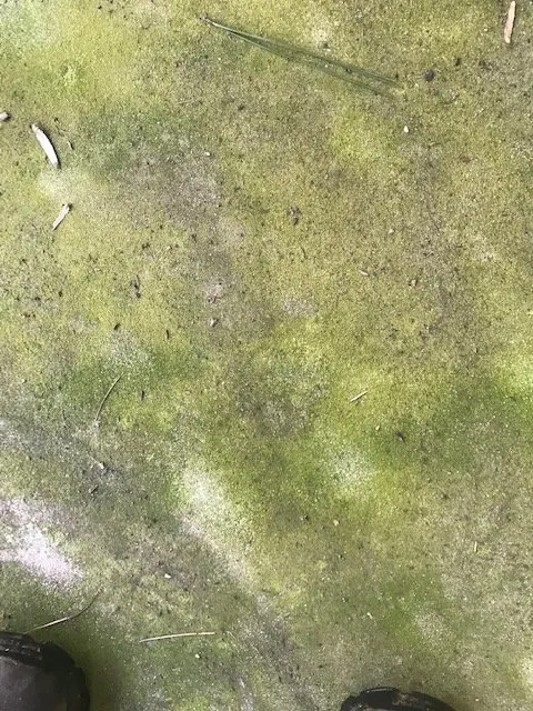 Trusted garden landscaping experts serving Durham, NC - Green Earth Lawn Care