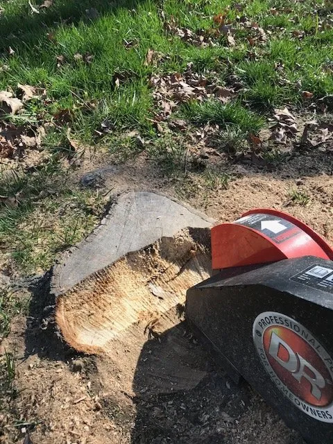 Affordable lawn mowing service in Durham, NC - Green Earth Lawn Care