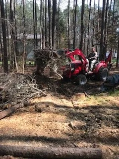 Local landscaping services for residential properties in Durham, NC by Green Earth Lawn Care