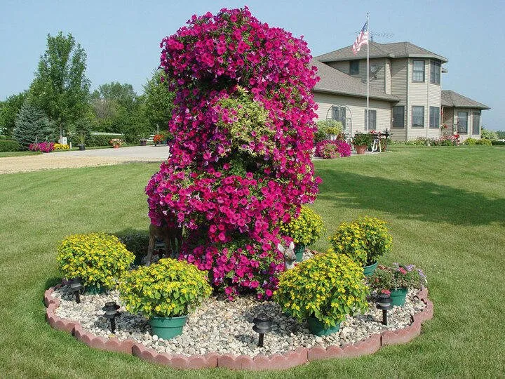 Custom landscaping services experts serving Hutchinson, MN - Green Earth Lawn Care
