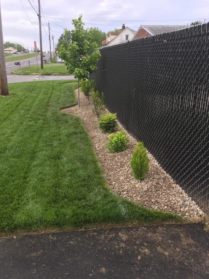 Trusted yard cleanup service for year-round maintenance in Newark, DE by Green Earth