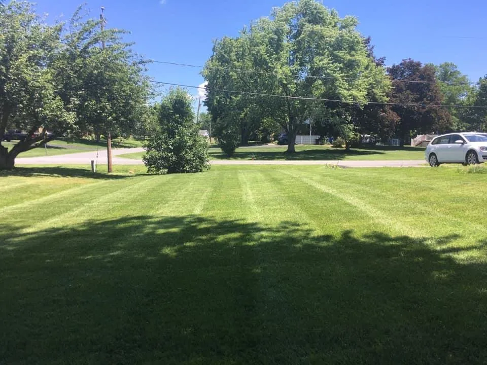 Top-rated lawn care service with custom design in Newark, DE by Green Earth