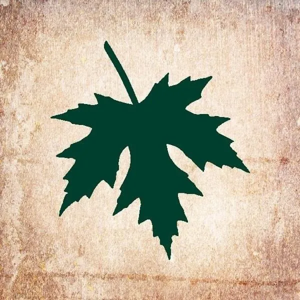 Custom landscaping services in Newark, DE - Green Earth