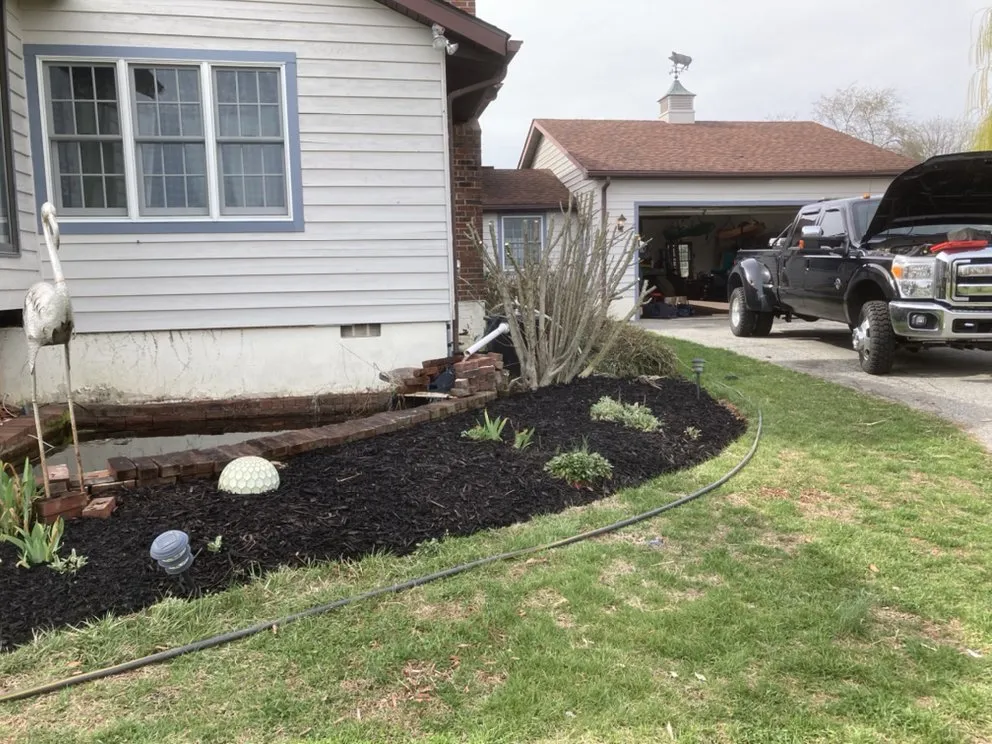 Trusted yard cleanup service experts serving Newark, DE - Green Earth