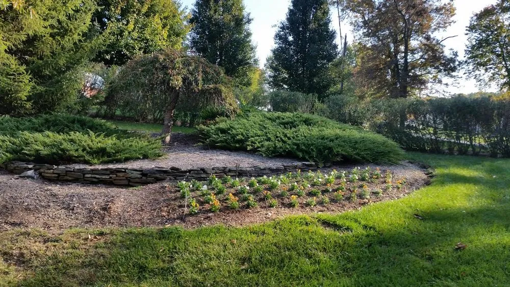 Trusted yard cleanup service experts serving Spencerville, MD - Green Earth