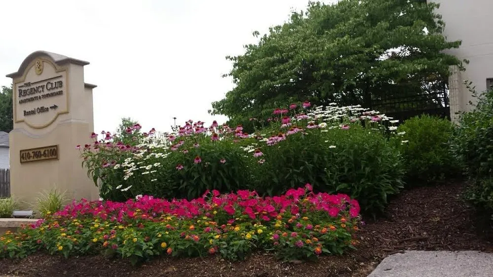 Reliable outdoor landscaping in Spencerville, MD by Green Earth