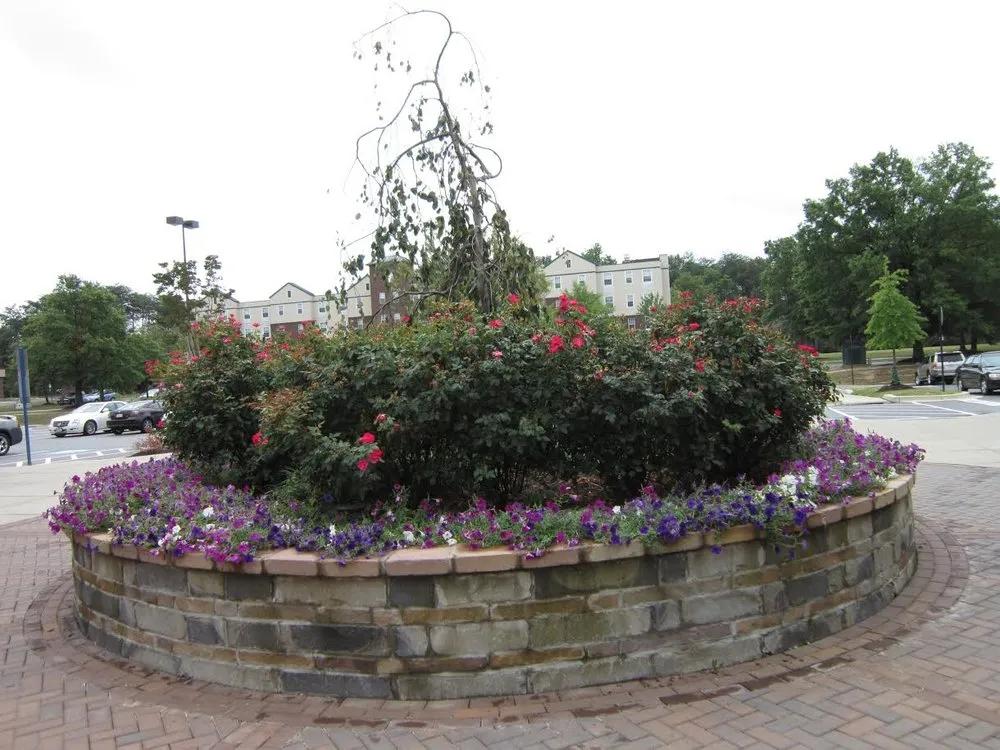 Expert outdoor landscaping for residential properties in Spencerville, MD by Green Earth