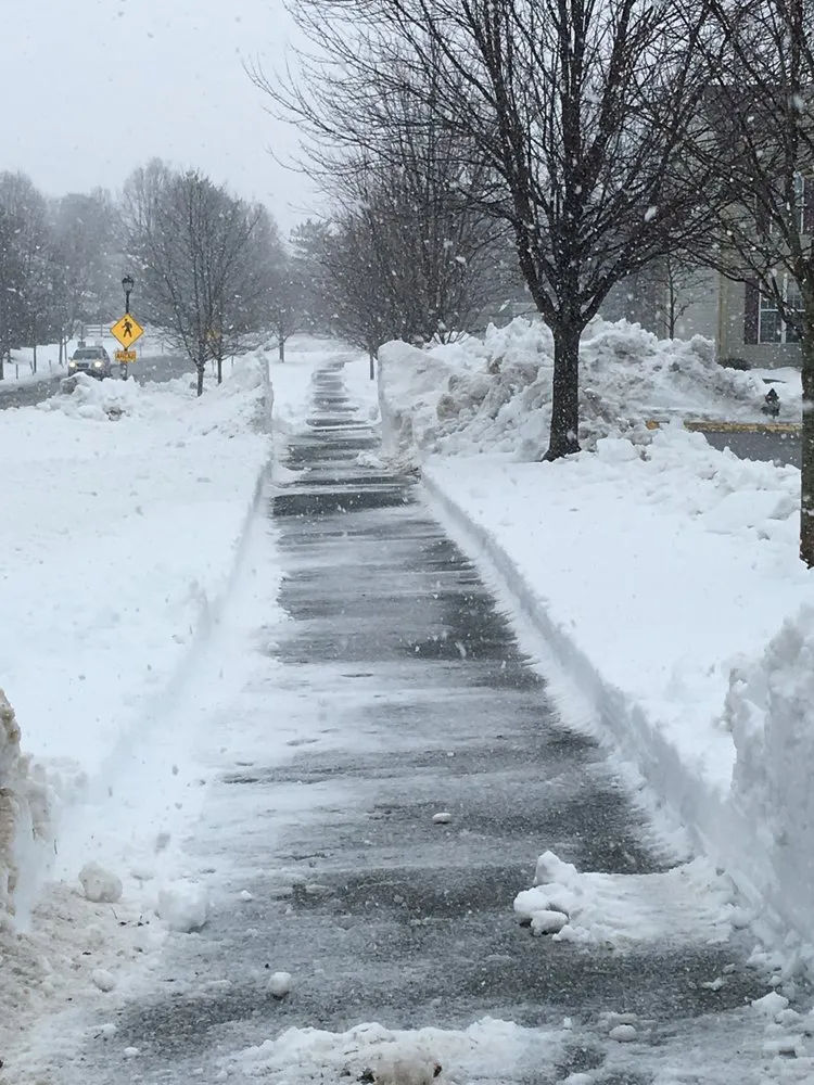 Professional landscaping services in Spencerville, MD by Green Earth