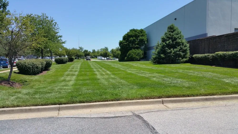 Expert landscape design in Spencerville, MD by Green Earth