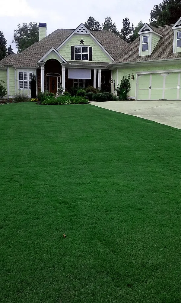 Reliable lawn care service in Atlanta, GA by Green Earth Tree And Turf Care