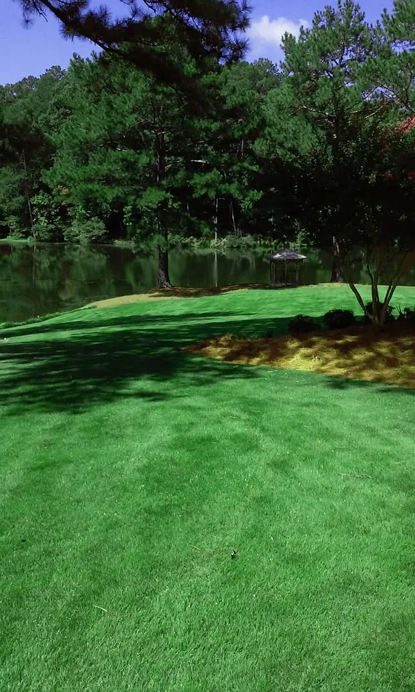Custom landscape design in Atlanta, GA - Green Earth Tree And Turf Care