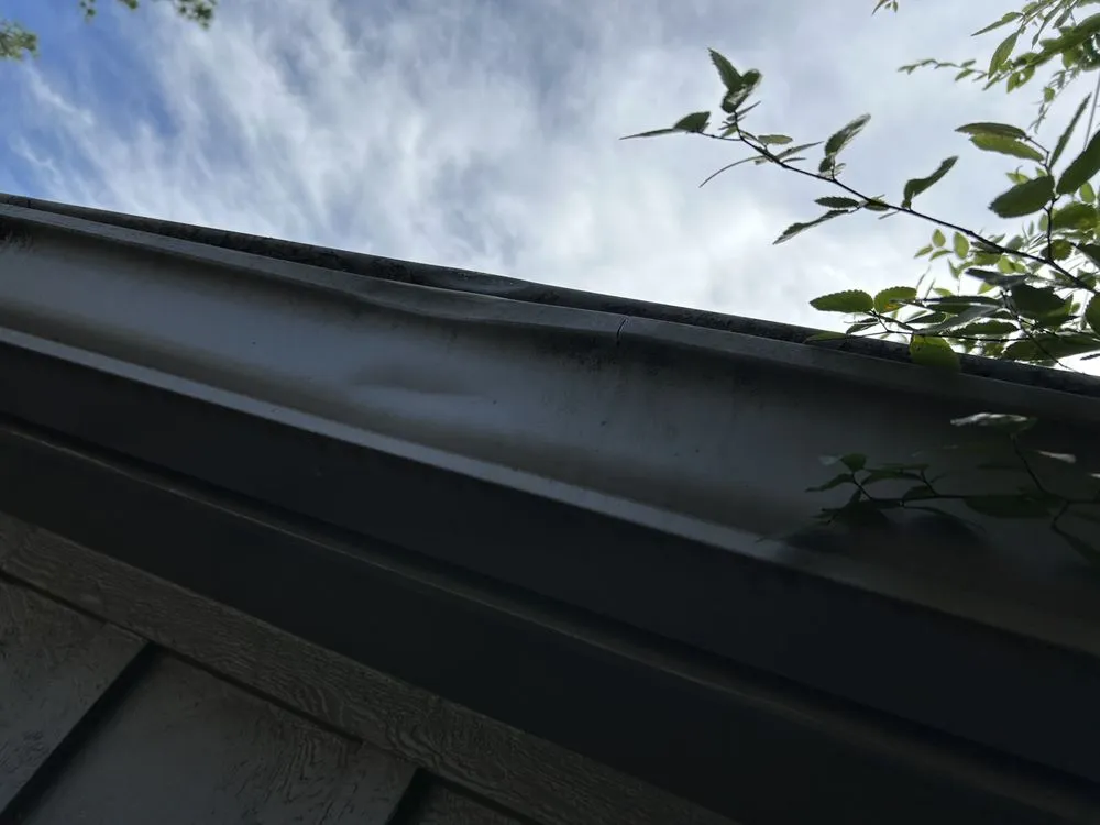 Expert landscape installation in Magnolia, TX - Green Earth Tree Service