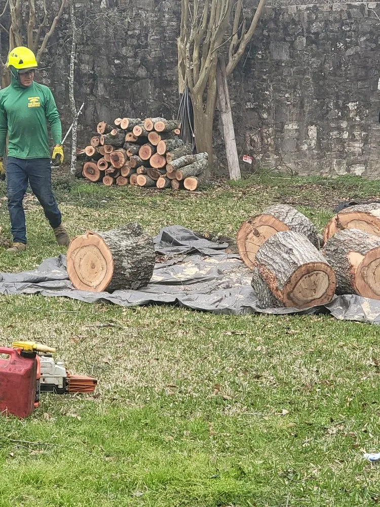 Top-rated lawn care service for year-round maintenance across Magnolia, TX - Green Earth Tree Service