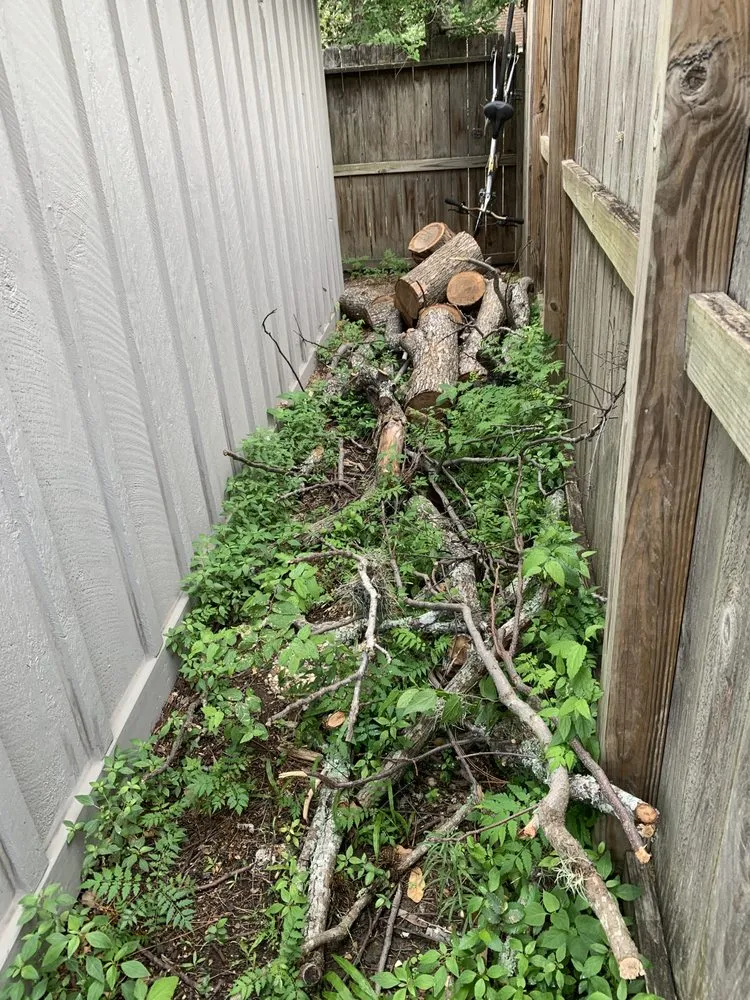 Trusted yard maintenance for outdoor upgrades in Magnolia, TX by Green Earth Tree Service