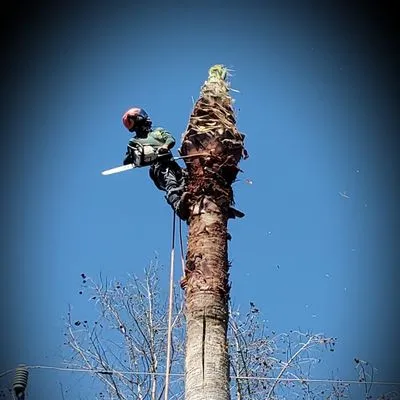 Green Earth Tree Service Logo