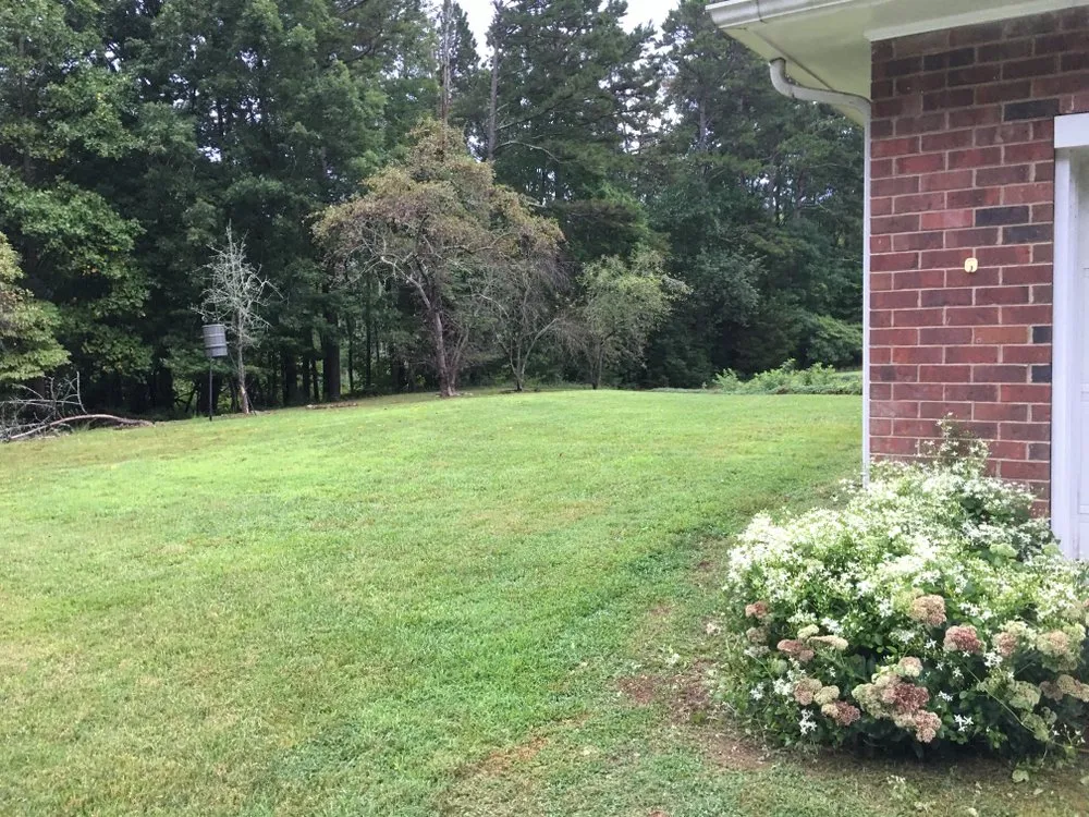Local landscape design with custom design across Granite Falls, NC - Green Eater Lawn Care