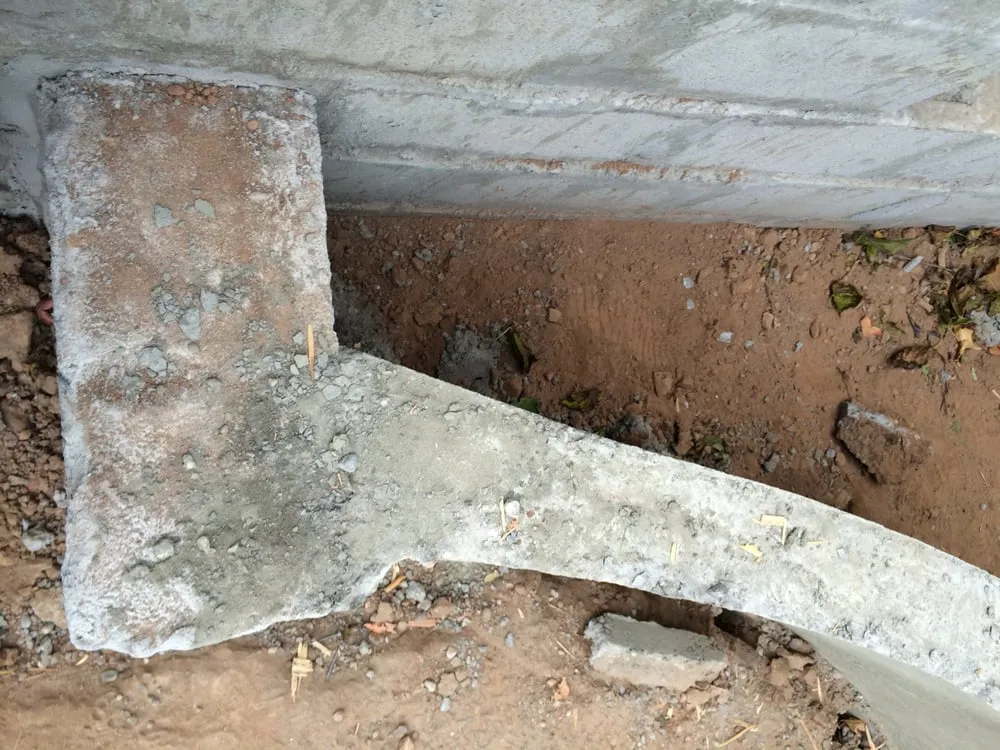 Reliable residential landscaping in Manhattan, NY by Green Echo Studio