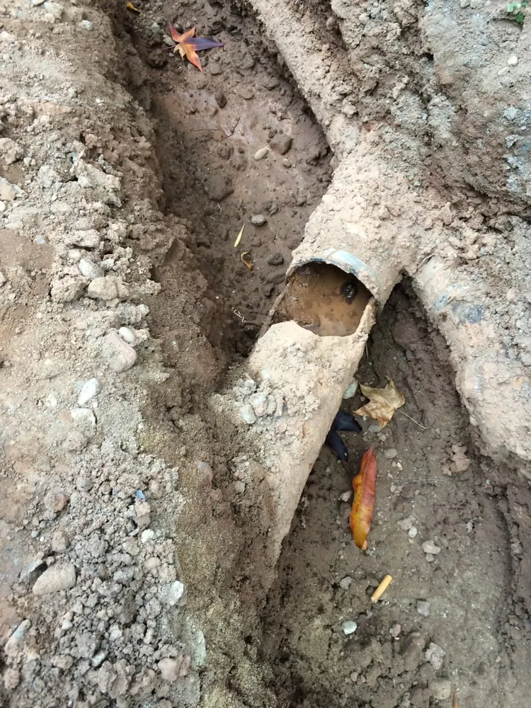 Custom lawn mowing service experts serving Manhattan, NY - Green Echo Studio