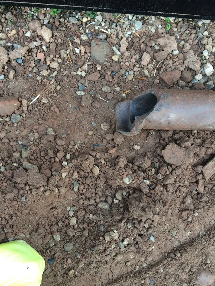 Affordable landscape design in Manhattan, NY - Green Echo Studio