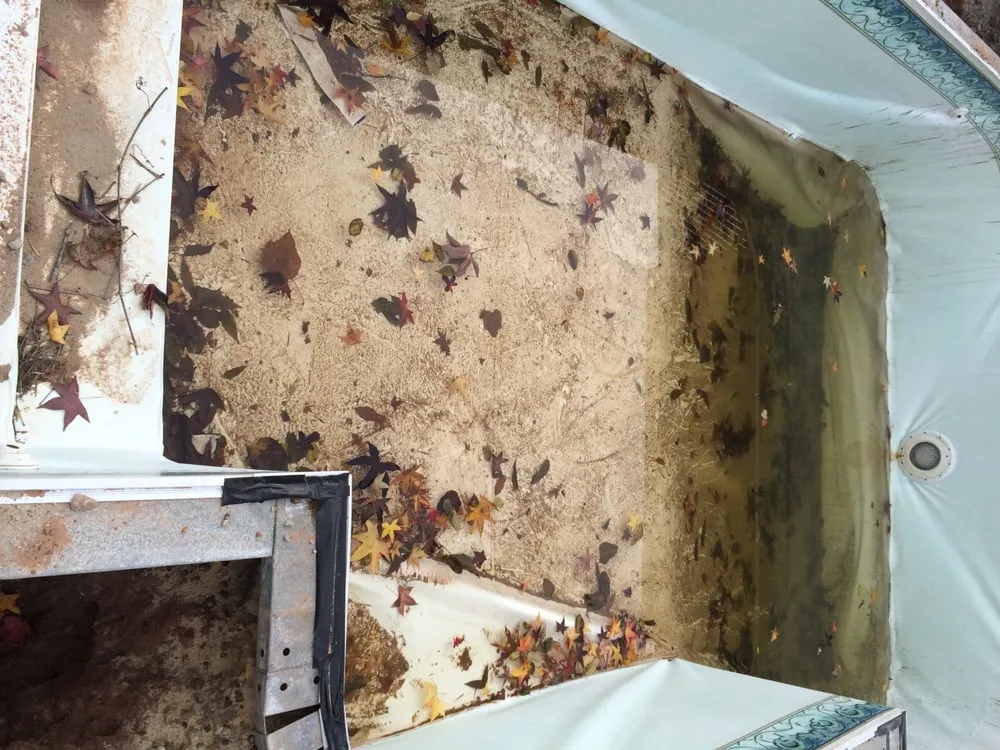 Professional garden landscaping experts serving Manhattan, NY - Green Echo Studio