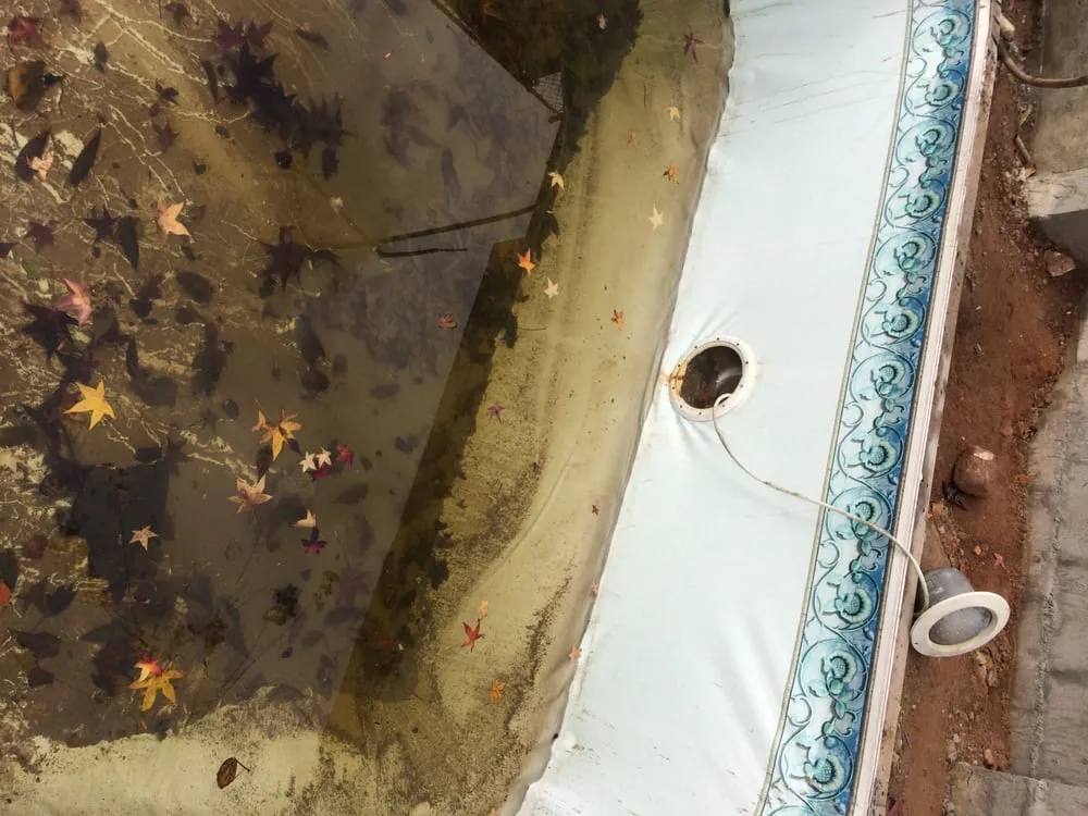 Custom landscaping services experts serving Manhattan, NY - Green Echo Studio