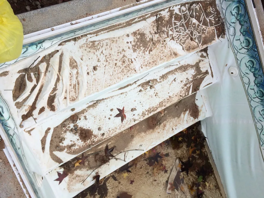 Local lawn care service for residential properties across Manhattan, NY - Green Echo Studio