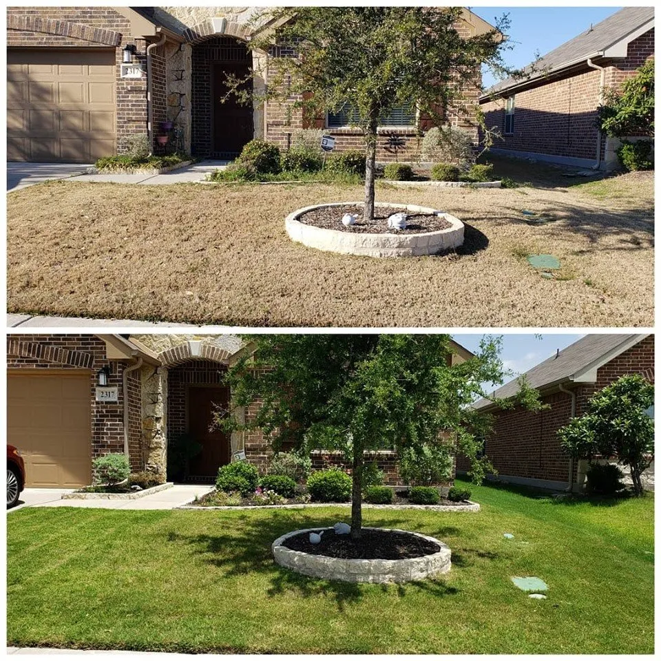 Expert lawn care service in Little Elm, TX - Green Edge Landscape
