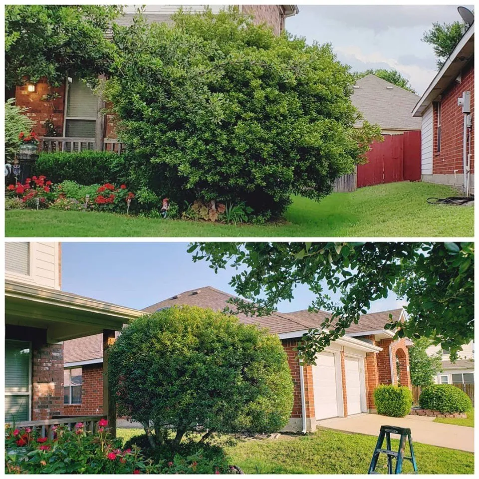 Custom yard maintenance in Little Elm, TX - Green Edge Landscape