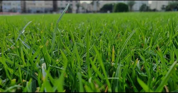 Green Edge Landscapes