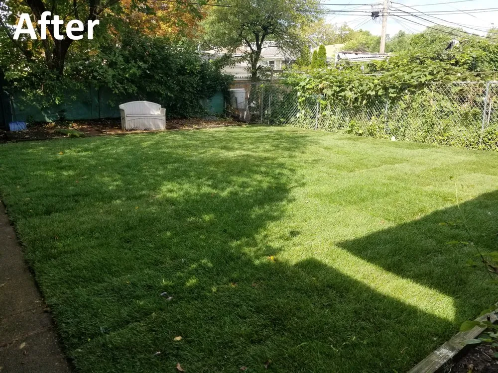 Local landscaping services in Skokie, IL by Green Edge Landscapes