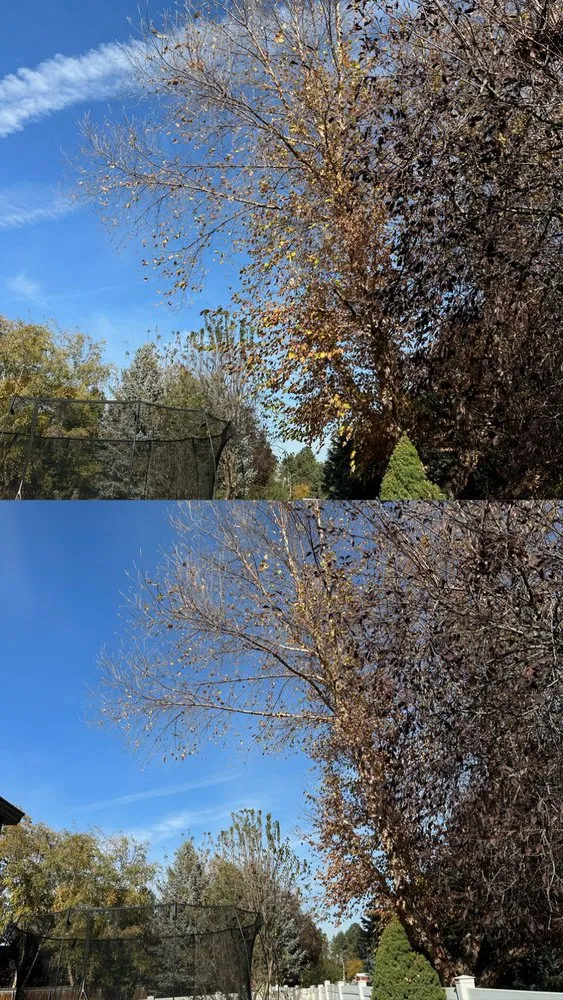 Local residential landscaping in Nampa, ID - Green Edge Lawn and Landscape